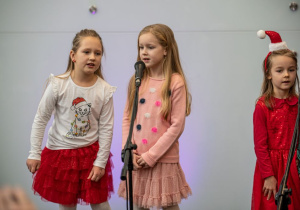 Zdjęcia z jarmarku świątecznego