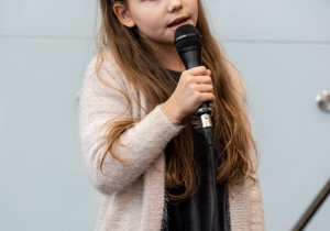 Zdjęcia z jarmarku świątecznego