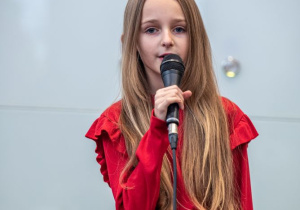 Zdjęcia z jarmarku świątecznego