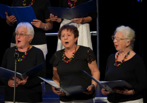 Zdjęcie 59 na 160