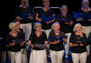 Zdjęcie 61 na 160