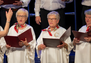 Zdjęcie 131 na 160