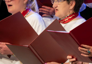 Zdjęcie 134 na 160
