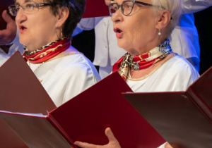 Zdjęcie 136 na 160