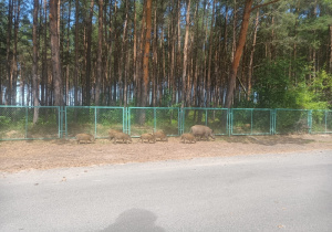 Zdjęcie 23 na 23